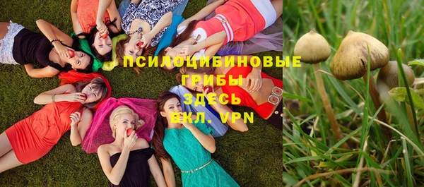 mix Богородицк