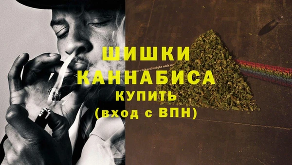 гидра Бородино