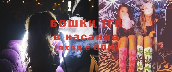 гидра Бородино